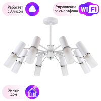 Люстра на штанге F-Promo Viator с поддержкой Алиса 2559-8P-A