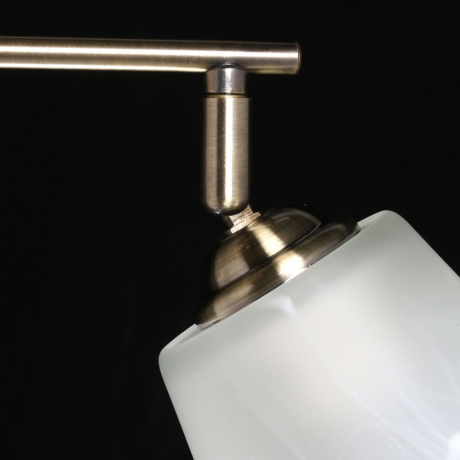 Потолочная люстра DeMarkt Тетро 673015402 