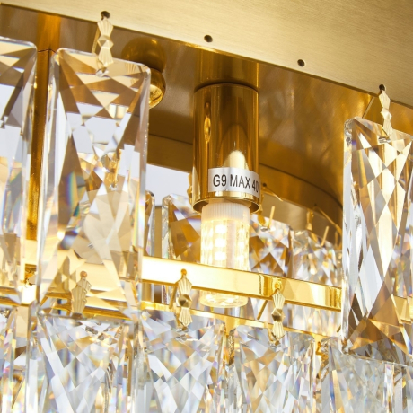 Подвесная люстра Favourite Magnitudo с поддержкой Алиса 2206-16C-A 