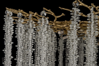 Люстра подвесная Dio D'Arte Elite Tavenna H 1.5.100.100 A