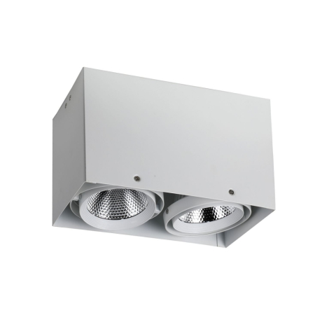 1986-2U Накладной точечный светильник с поворотным механизмом Favourite Flashled 