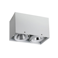 1986-2U Накладной точечный светильник с поворотным механизмом Favourite Flashled