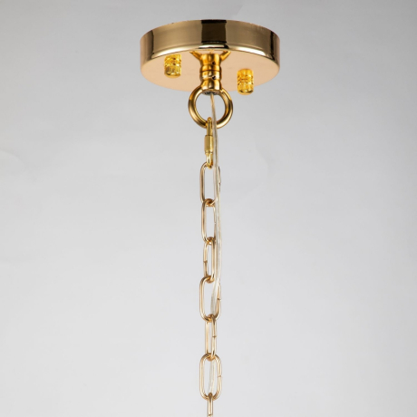 Подвесная люстра Favourite Nubes с поддержкой Алиса 2966-5P-A 