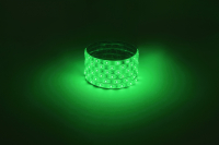 LS2835-4,8-60-12-G-IP65-1 year-5m  Светодиодная лента ЭРА LS2835 -4,8-60-12-G-IP65-1 year-5m, зеленый, 5м Б0059898