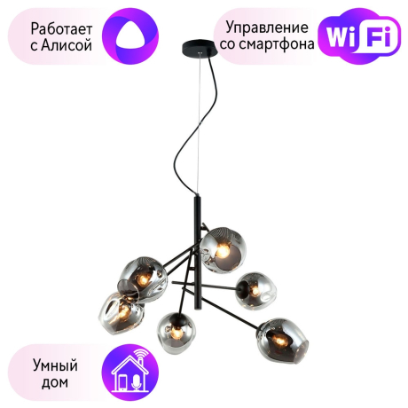 Подвесная люстра Favourite Traube с поддержкой Алиса 2359-6P-A 