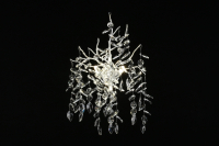 Бра Aployt Gertunia APL.847.11.03