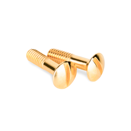 Винт Werkel Ретро (золото) WL18-22-01 