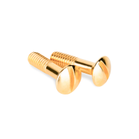 WL18-22-01 (a038396) Винты для распределительной коробки/TV розетки 2 шт. Werkel Ретро