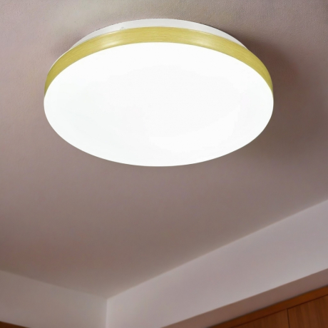 Настенно-потолочный светильник от Lustrof 763435-317070 