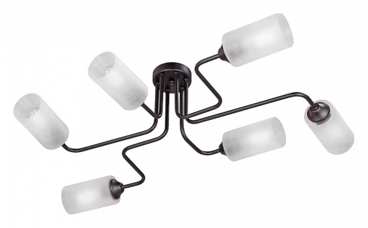 Потолочная люстра Vitaluce 4310 V4310-1/6PL 