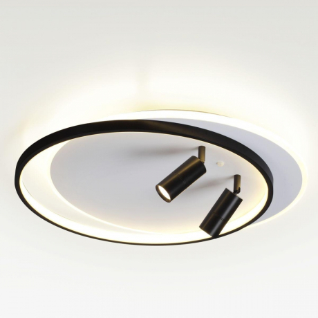 Потолочная люстра с пультом ДУ Lumion Naoko 5603/75CL 