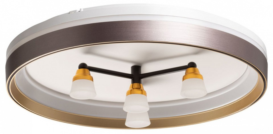 Потолочная люстра De City Семья 66 660014701 