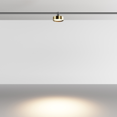 Трековый светильник Technical TR204-1-12W3K-BBS Zon 