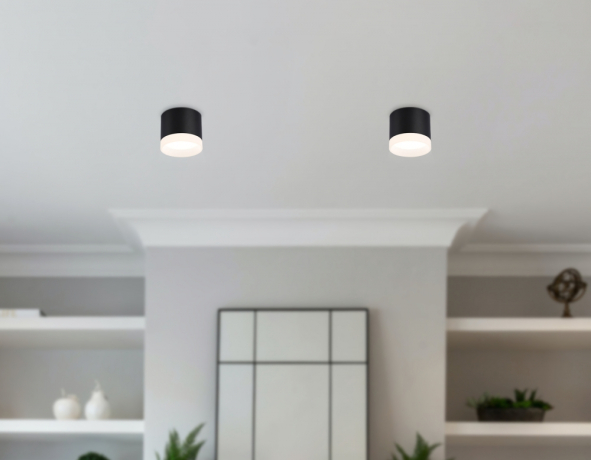 Накладной светильник Ambrella light Techno Spot Acrylic Frost TN5366 