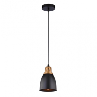 Нарушена упаковка.  <94789>  Подвесной светильник Arte Lamp Eurica A4248SP-1BK