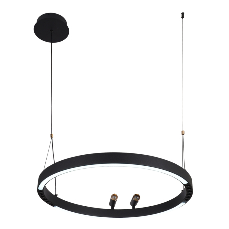 Подвесная люстра F-Promo Slinga 4474-1P 