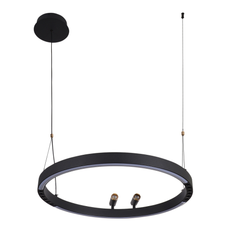 Подвесная люстра F-Promo Slinga 4474-1P 