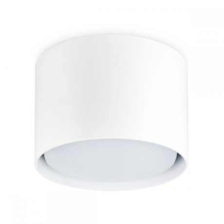 Накладной светильник Ambrella Light TN TN5301 