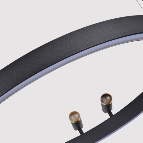 Подвесная люстра F-Promo Slinga 4474-2P 