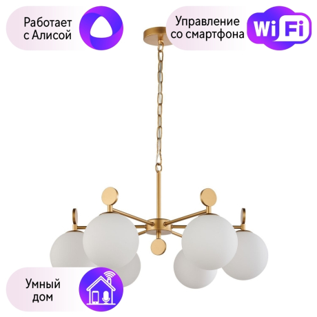 Подвесная люстра Favourite Absolute с поддержкой Алиса 2928-6P-A 