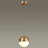 Подвесной светильник Odeon Light Pinga 4960/1