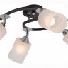 Потолочная люстра Citilux Сиерра CL119241 