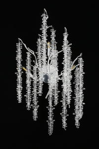 Бра Aployt Paulina APL.848.11.03