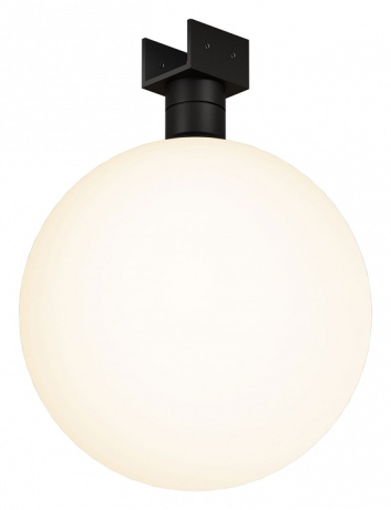 Накладной светильник Maytoni Outdoor Luna O-TR01-2-S-9WB3K